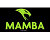 Mamba-Security